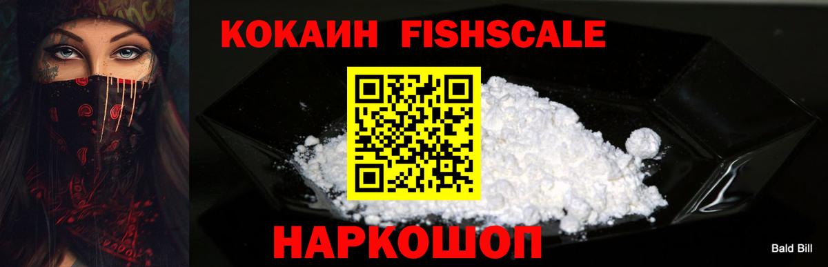 Cocaine Fish Scale  Cocaine Fish Scale  Вход с VPN  Заинск 