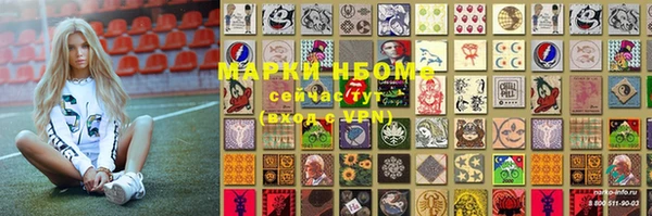 ешки Алексин