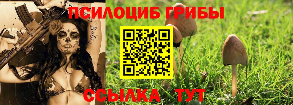 Галлюциногенные грибы прущие грибы Заинск