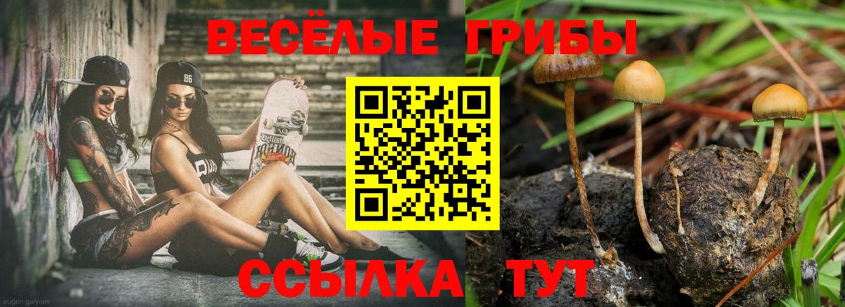 Заинск  Галлюциногенные грибы MAGIC MUSHROOMS  Вход с VPN  Псилоцибиновые грибы мухоморы 