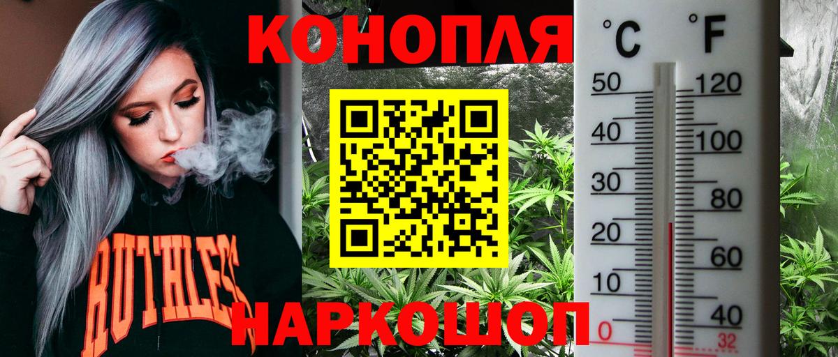 Бошки марихуана SATIVA & INDICA  Вход с VPN  Заинск  Бошки Шишки планчик 